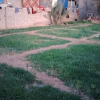 بيت للبيع • ٦٠٠م • خط أول