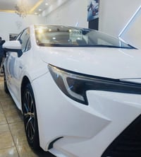 كورلا • ٢٠٢٤ • رقم اربيل