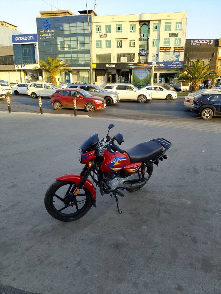 مانتۆری بۆکسر ***********تەنها 9 هەزاری حیقیقی  رۆیشتوە لۆک أربيل, العراق
