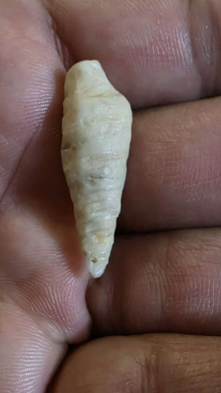 عطف لوي قديم جدن للبيع مكاني بغداد مدينه الصدر توصيل لا يوجد سعر جوه بلاش ٢٥ الف


**إذا كنت صاحب هذا الإعلان وتريد حذفه لأي سبب، رجاءا أرسل رسالة إلى الدعم الفني**