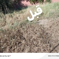 كادر عمل تنضيف حواش قبل وبعد 07829873870 ومن الله التوفيق