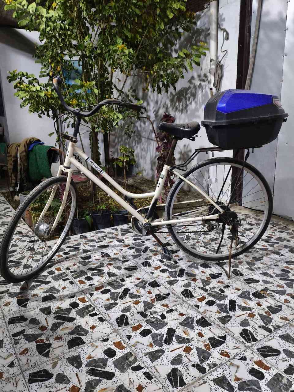 سلام عليكم بايسكل للبيع مكاني نجف حي ميسان السعر 70


**إذا كنت صاحب هذا الإعلان وتريد حذفه لأي سبب، رجاءا أرسل رسالة إلى الدعم الفني**