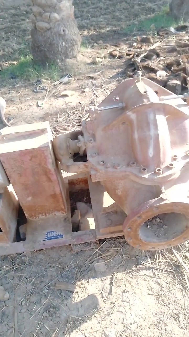 نحاله رستم انگليزيه بلاديه عشره في عشره ماطور بلادي العنوان بابل النخيله الغربيه مقابل شركه اسماك الفرات اني مكلف بالنشر السعر اتصل على الرقم ***********
