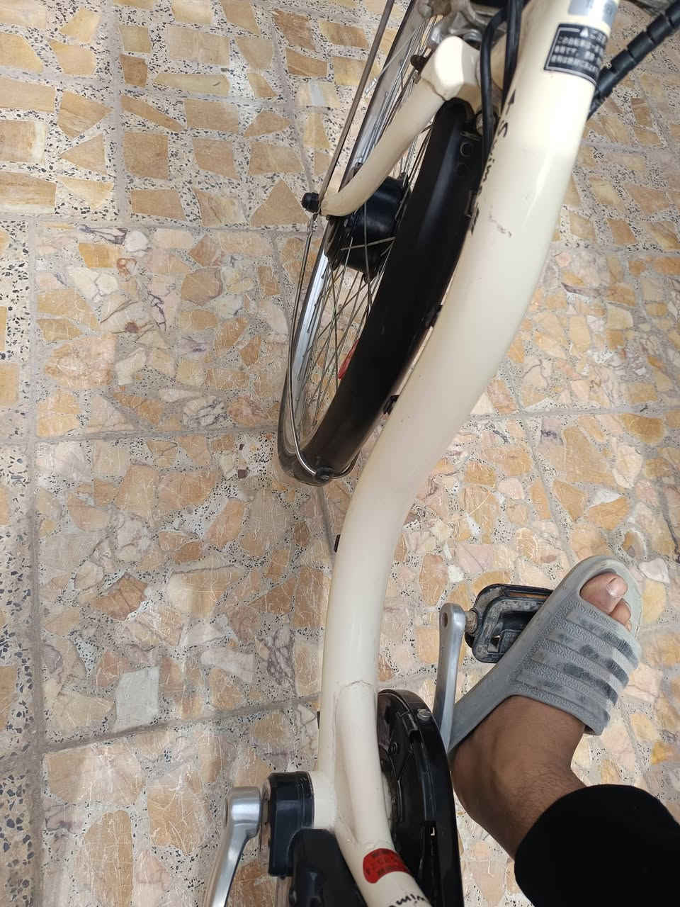 باسكل ✈️ ✈️ ✈️ للبيع 💥
سعر90⚜️
حجم26💥
ياباني ⚜️
مكينه شيمانو💥
بطيخه جبيره⚜️
باسكل مختم من تاير لل تاير 💥
وحديد كله لحيم درجه أوله⚜️


**إذا كنت صاحب هذا الإعلان وتريد حذفه لأي سبب، رجاءا أرسل رسالة إلى الدعم الفني**