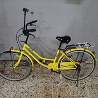 بايسكل شحن • سانتوس اصلي • ٢٠١٩