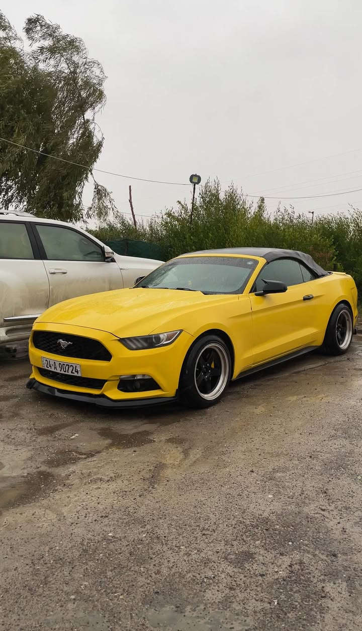 Mustang 2015 V6💛
٢ پارچە سبوخ
ئرباگ سوکان تەقیوە 
سەیارەکە سفری شەریکە نیڤایە
نرخی ١٥٥ گۆرینەوەش دەکەم لەگەڵ سەیارەیەک بەدڵم بێت أربيل, العراق


**إذا كنت صاحب هذا الإعلان وتريد حذفه لأي سبب، رجاءا أرسل رسالة إلى الدعم الفني**