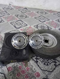 بوش هورنات • مضخم صوت • ميسان