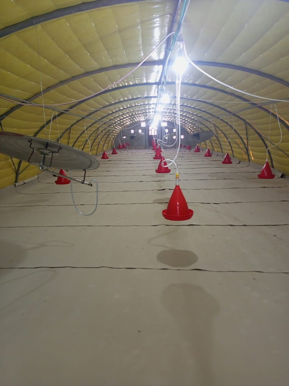 السلام عليكم حقل دواجن للبيع طول ٤٤ متر العرض ٩ الحديد جديد المعالف المنهال العازل جادر لايلون حاضنات خزانات ماء تاسيس كهرب تاسيس ماء غراض قاعه كامل جاهز مابي اي نقص سعه ٦ تالاف دجاج عنوان موصل 
***********
***********
***********
