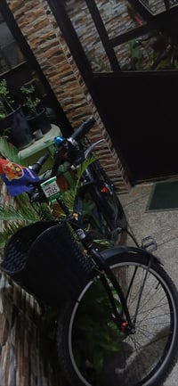 Fivecard-Bike • قياس ٢٦ • سلة ورف