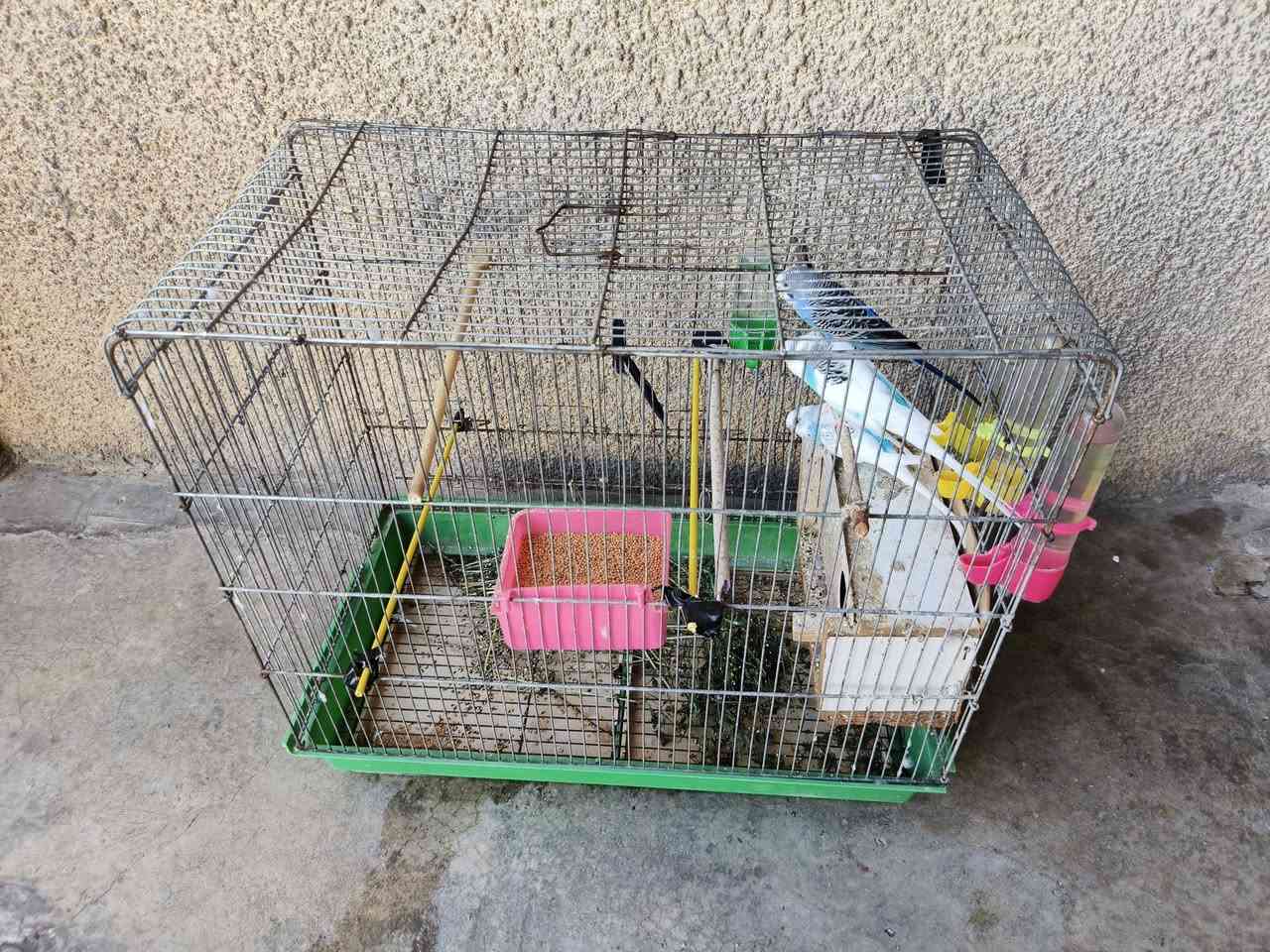 ‏‪***********‬‏
