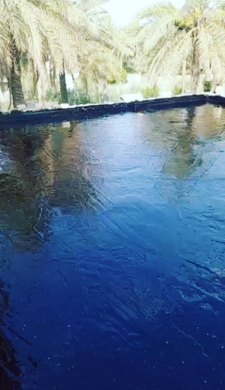 تعلن سكله ام البنين البيع اوعمل الكير ولاشتايكر بنسب لاسعار كرسته اوعمل اوشرط الفحص  *********** "*********** لاستفسار ع
