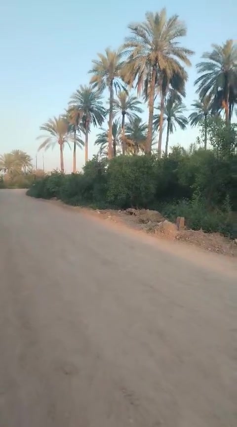 للبيع للبيع 
دوانم وقطع ملك صرف يتوسط البستان شارع تبليط 8 متر كهرباء وماء بستان مثمر نخيل 🌴 برتقال ومشمش شاطئ التاجي بعد جسر الذراع قرب مسجد محمد الفاتح للتواصل 
معنا *********** واتساب

