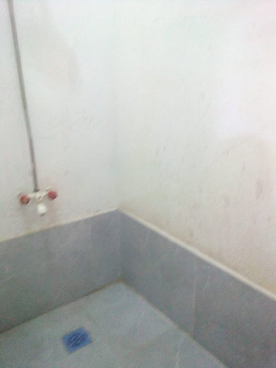 السلام عليكم
بيت مشتمل للايجار بلقبلة 

حي الجامعة 

يحتوي على غرفة منام 

صحيات 

ديوانية 

وصالة 

ومناور 

مال عائلة صغيرة مرتبة 

للاستفسار / ***********
