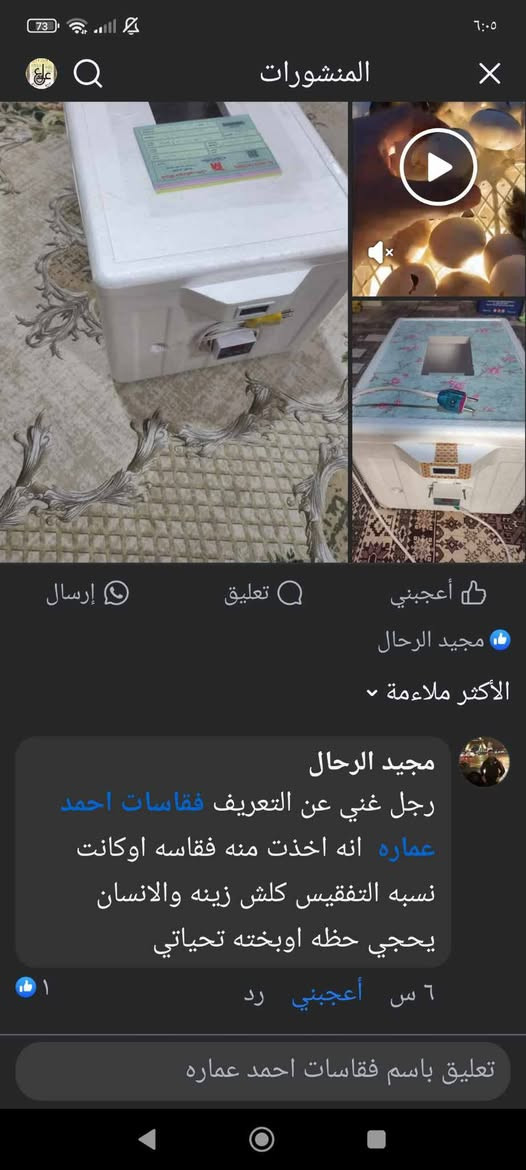 #عرض ولفتره محدوده ياالله بسم الله الاصحاب المشاريع الصغيره متوفر فقاسات بيض لجميع انواع البيض حجم 60 بيضه بسعر 60وحجم 100بيضه بسعر80 والتوصيل مجاني جميع محافظات العراق


**إذا كنت صاحب هذا الإعلان وتريد حذفه لأي سبب، رجاءا أرسل رسالة إلى الدعم الفني**