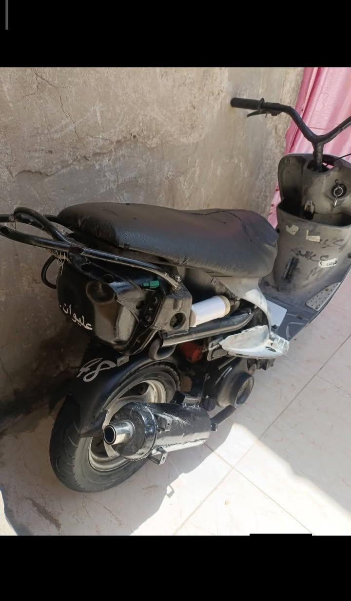 ماكس  قچمة منغولي للبيع  جاهزة للاخير.. مكاني بصره( الجزيرة.   )سعر 350 البصرة, العراق


**إذا كنت صاحب هذا الإعلان وتريد حذفه لأي سبب، رجاءا أرسل رسالة إلى الدعم الفني**