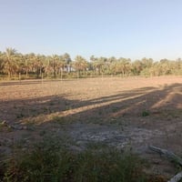 ارض زراعيه 4دونم للبيع سند ٢٥ مسجل بالطابو المحموديه تحويل مباشر كافه ...
