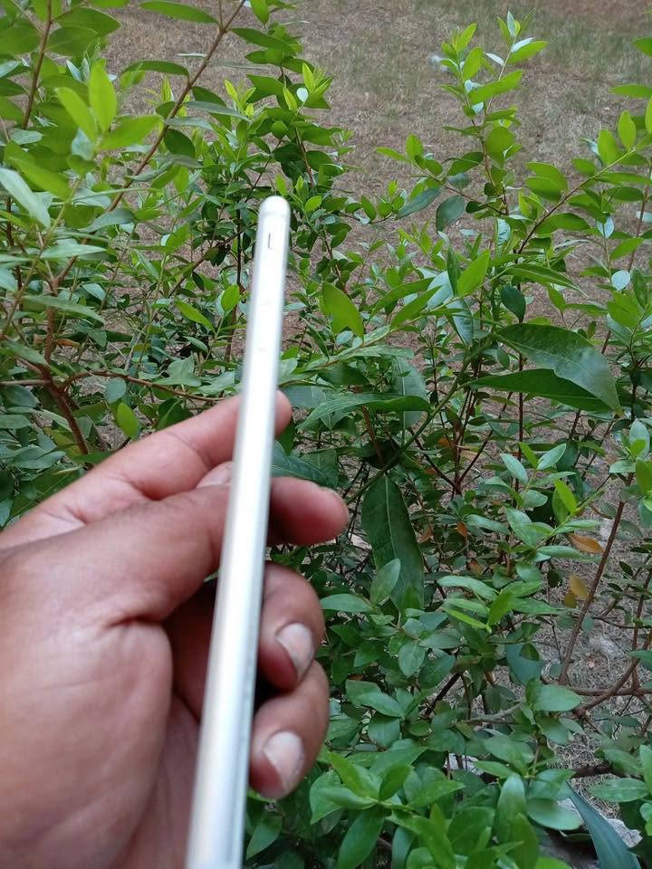 جهاز ٨ بلاس نظيف جدا بعده بحاله الوكاله سعره ١٤٠ للاتصال على الرقم ***********
