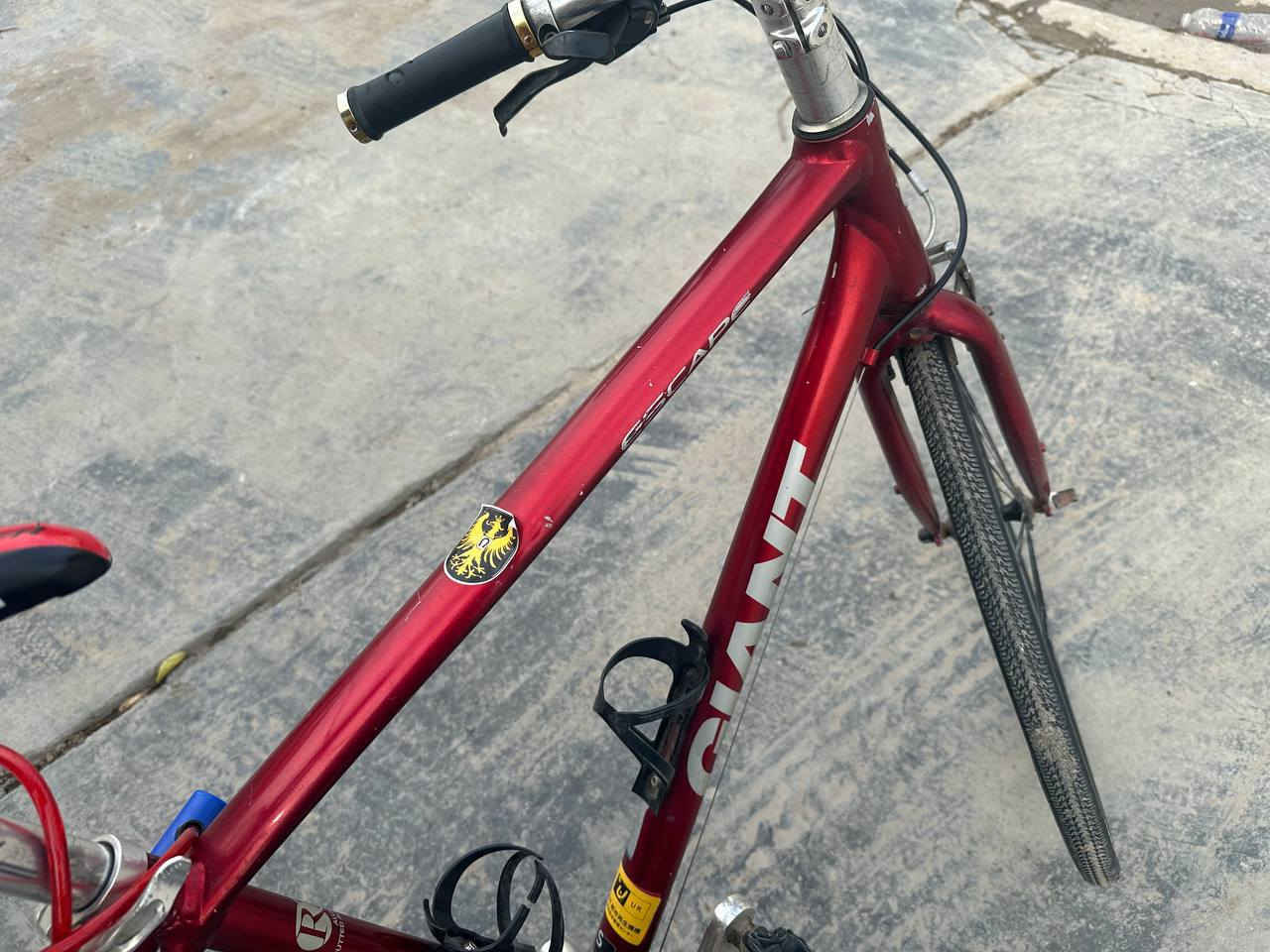 السلام عليكم
جاينت سكيب حديث و نضيف 
فول المنيوم ما نقصة اي 
.حجم الفريم S 
.حجم التاير 28 
اللون دم الغزال ❤️
.تايرات اصلية و جوابة كذالك 
السعر 175 وبي مجال بسيط 
مكاني بغداد العامرية ما عندي توصيل 
.للتواصل واتساب او تلفون 
***********
