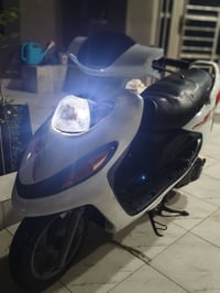 دولفين • مكفولة • جاهزة