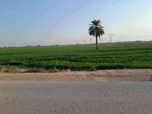 على بركة الله ......
_ أرض زراعية للبيع 🏜

*موقع جدا مميز🚩📍

* جنس العقار:  (عقد ٢٥ طابو ) تحويل مباشر
* المساحة : ١٦ دونم 
*يتوفر فيها ماء إسالة وحصة مائية وكهرباء 

* تصلح الأرض لسكن و للزراعة وبناء حقول الدواجن وانشاء أي مشاريع اخرى

الموقع 📍: واسط / قضاء العزيزية _ شظيف الغربي - خلف حسينية سيد الشهداء _ تبعد عن شارع العام بغداد- كوت ٤٠٠ م
ملاحضة / تبعد قضاء ا لعزيزية عن مركز محافظة بغداد 75 كيلو 
للاتصال و الإستفسار ***********📞
           واتساب       *********** 📞
أو مراسلة بيج وحساب درة المدينة للعقار
