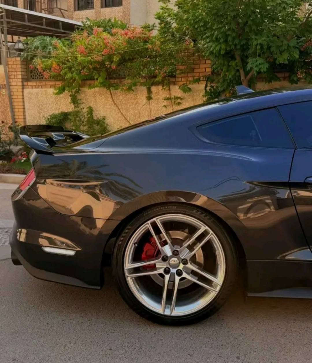 ***********
موستنك GT للبيع
10 نمر
كيجات دجتال
بصمه تشغغيل 
كشنات تدفئه كهرباء تبريد فول مواصفات للاستفسار
20 مليون وان شاء الله خير للمجال
مستعجل على بيعها اخوي مريض
