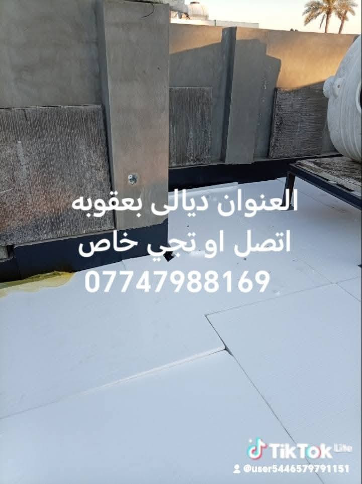 العنوان ديالى بعقوبة ليحب يتصل أو يجي خاص ***********

