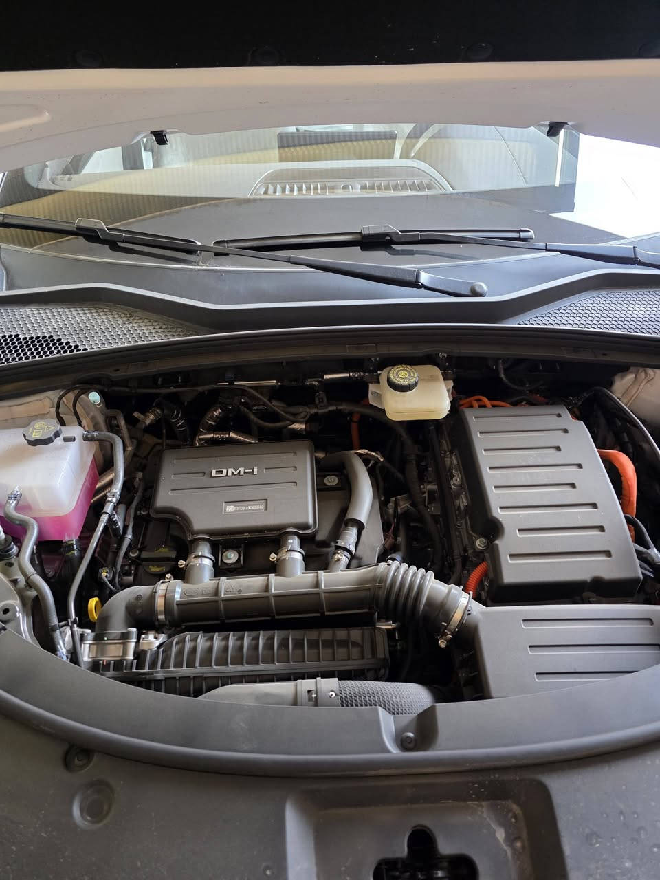 للبيع BYD سونك بلاس موديل ٢٠٢٥ فول مواصفات ماشية ١٠٠٠ مكفولة كفالة عامة للسفسار ***********
