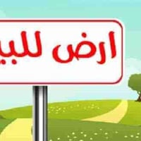 السديناويه • أرض زراعية • ٢٠٠م