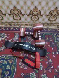 زوج دنبلص • مسند بايبس • بغداد العبيدي