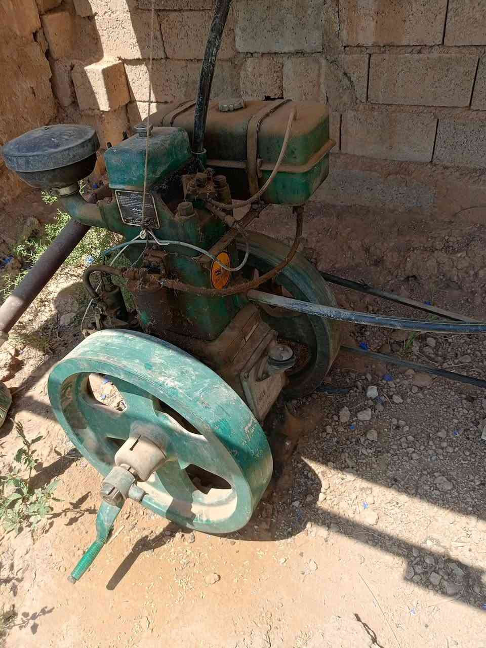 مولد لستر هندي فيلد مارشال 16 احصان + راس توليد 10k السعر خاص رقم الهاتف *********** مكاني ديالى الخالص قريه سفيط
