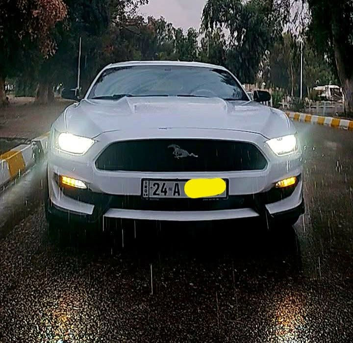 السعر كلش مناسب واخو البلاش موستنك موديل 2015 محرك ٤ سلندر حادثها مرفق بالصور تخم تاير صدر حدادية كله جديد سيارة مال بيت وجناي سعرها مناسب مكاني كركوك ***********
