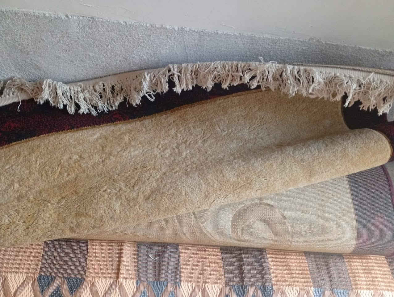 زوليه تركي  هيه والمدات ملاته   خلي سعر


**إذا كنت صاحب هذا الإعلان وتريد حذفه لأي سبب، رجاءا أرسل رسالة إلى الدعم الفني**