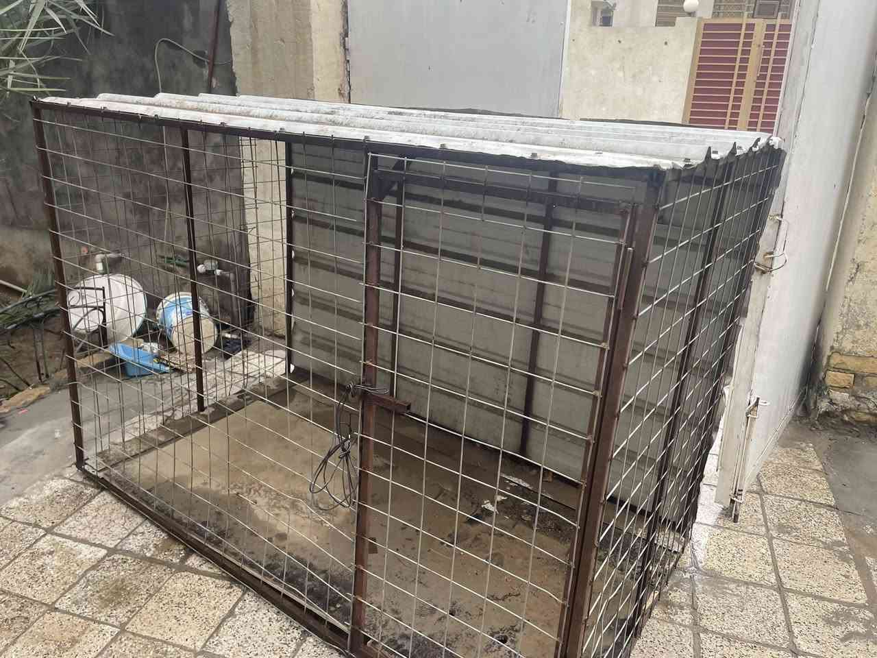 قفص للبيع


**إذا كنت صاحب هذا الإعلان وتريد حذفه لأي سبب، رجاءا أرسل رسالة إلى الدعم الفني**