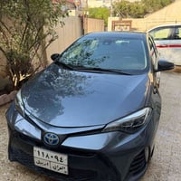 كورله • ٢٠١٨ • شمالي أربيل