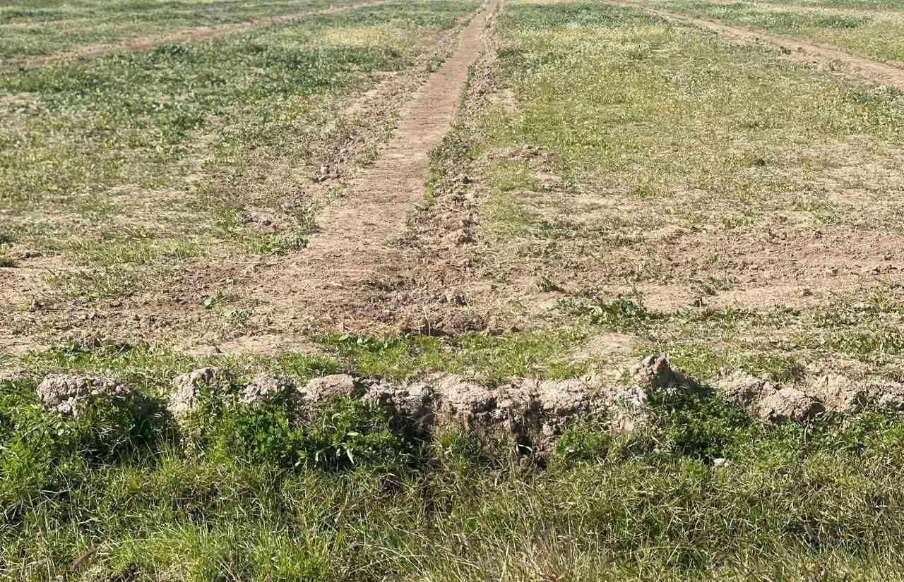 السلام عليكم
ارض زراعية للبيع 
المساحة 140 دونم 
المكان واسط الزبيديه 
قانون ٣٥ 
ماء سكي متوفر 
ماطور كهرباء ٥٠ حصان 
كهرباء متوفره 
ماء اساله متوفر 
***********
