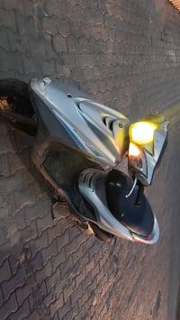 بريز ببغاء