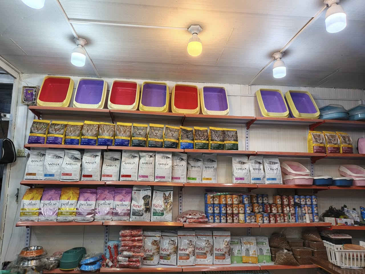 - دجاج🐔 للكلاب والقطط (الحيوانات) يوم بيوم تازة♨️ فرش💯

 1-)الدجاج نظيف جدا عبارة عن قطع رگب وضهر 
ودجاج 
.الكليو ب 1000 دنيار

2.)مثرؤم 
- الكيلو ب1000 دينار 
💎💎))))))ملاحظة.  اقل كميه نبيع 5 كليؤات((((((💎💎💎

- (متوفر فقط خدمة توصيل) (داخل بغداد فقط) ب5000 دينار🚕🚘 

- للطلب وللمزيد من المعلومات يرجى الاتصال على الارقام التالية : ***********

او مراسلتنا عبر هذه الصفحة 
وشكراً🌹
