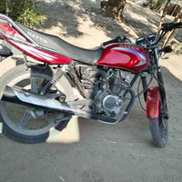 دايوان 2014 • بدون اوراق • بابل جبله