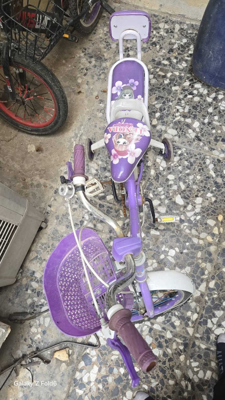 السلام عليكم بايسكلات اطفال عدد 2 للبيع سعر الواحد ٣٥ الف للاستفسار *********** مكاني مدينة الصدر
