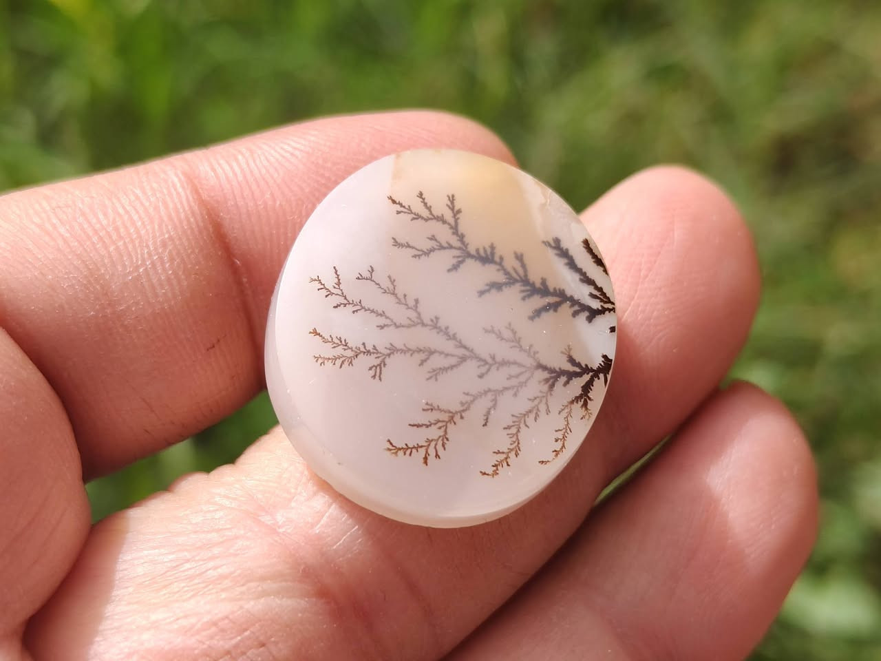 لوحه فنيه من العقيق اليماني الشجري طبيعي حر بالذمه حجم راهي السعر 45  الف ***********
