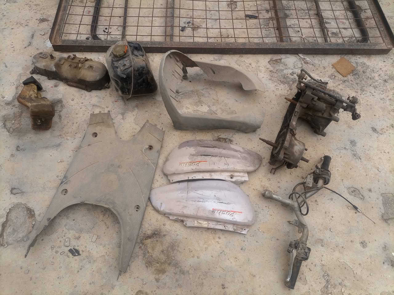 للبيع غرض منغولي ام السلة كربلاء حي الحر
واتساب ***********
