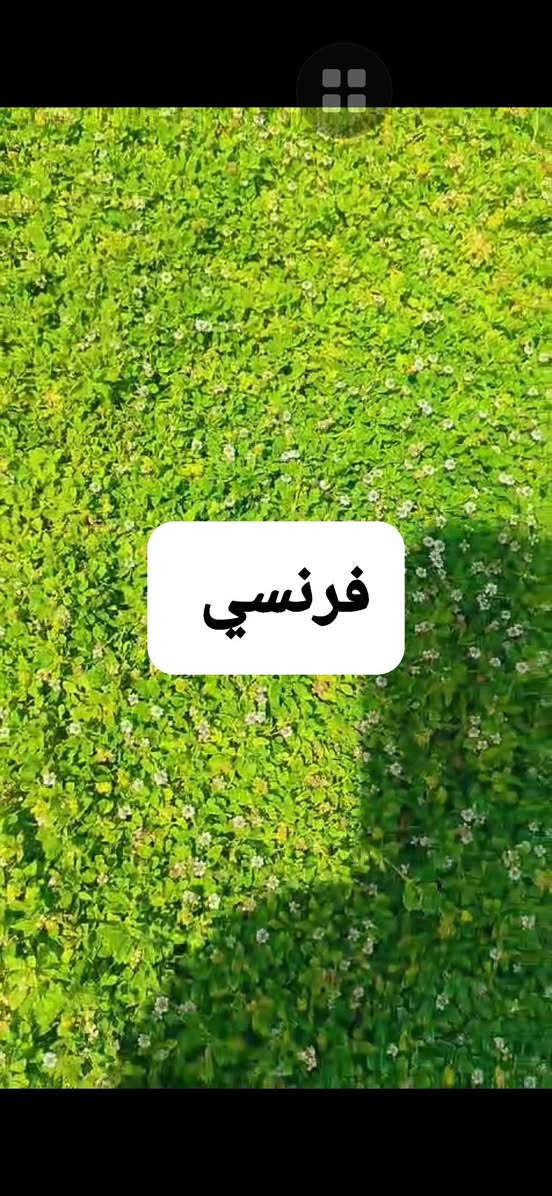 مع بداية الموسم الجديد ٢٠٢٦ يسرنا ان نوفر لكم الثيل الطبيعي عالي جوده يتحمل كافه ظروف البيئية 
#الفرنسي دائم الخضره 
#الايطالي دائم الخضره 
#الهندي خضار موسمي
#الانكليزي خضار موسمي................
 مع خدمة التوصيل لكافة محافظات العراق لمعرفة المزيد راسل الصفحه او اتصل على 
***********
***********
او الواتس اب 
ثيل ديالى الطبيعي
