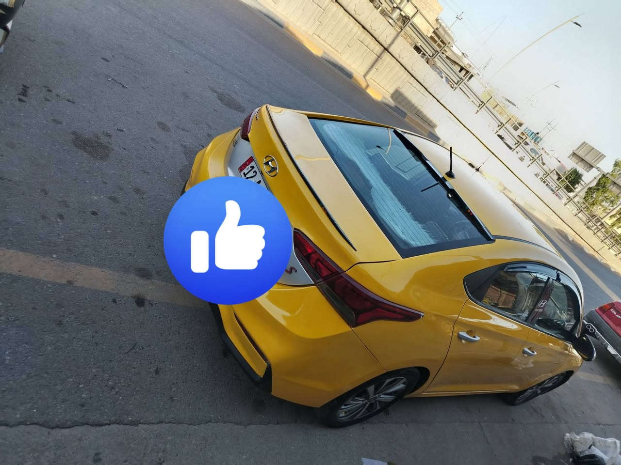 2019  صبغ جاملوغ شوية بل  حوض ١٢٥ ومجال***********
