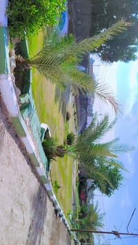 دونم عقد ٣٥ • ٤٥٠م • طابقين