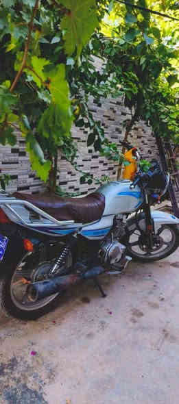 دراجه دايون مديل 21 نضيف محرك مامفتوح سعره 950 وبيه مجال ***********
