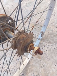 بايسكل بناتي • شينمانه • ماعدي توصيل