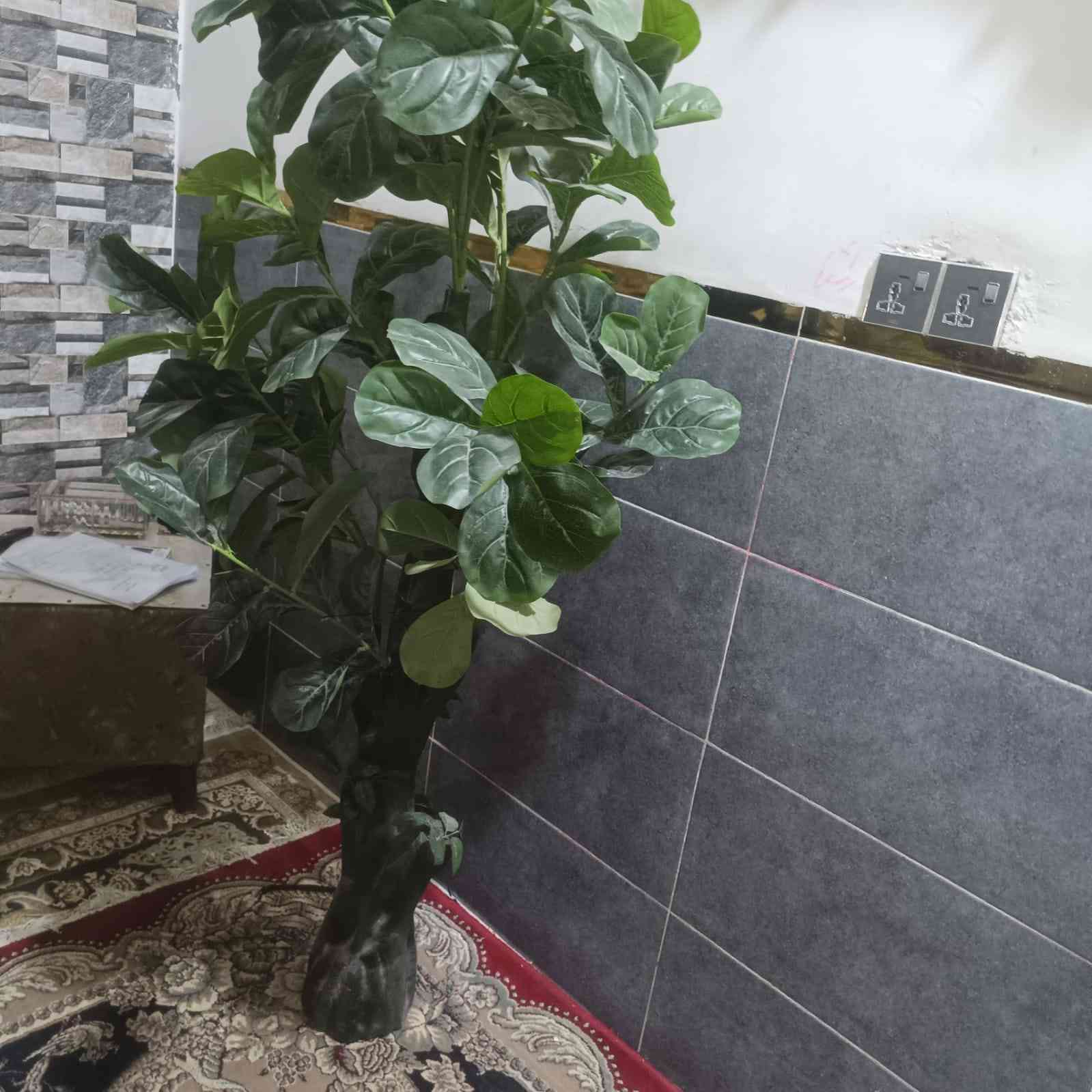 *********** مساء الخير غراض للبيع والي يحب يسأل عن السعر الاتصال على الرقم
