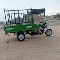 ستوته • موديل 2023 • أوراق باسمي