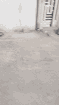 البوبيات كربلاء • ١٠٠م • ٣غرف