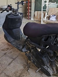 فراشة • كلشي جديد • تعمرت ٩ أشهر